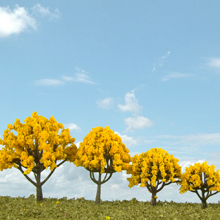 model trees